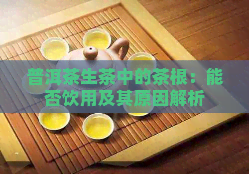 普洱茶生茶中的茶根：能否饮用及其原因解析