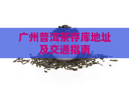 广州普洱茶存库地址及交通指南