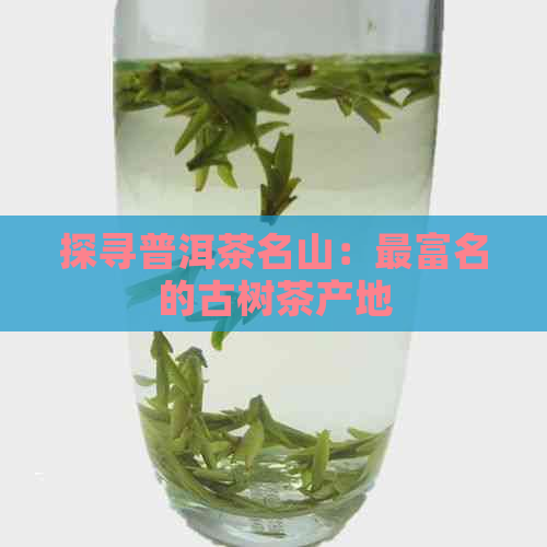 探寻普洱茶名山：最富名的古树茶产地