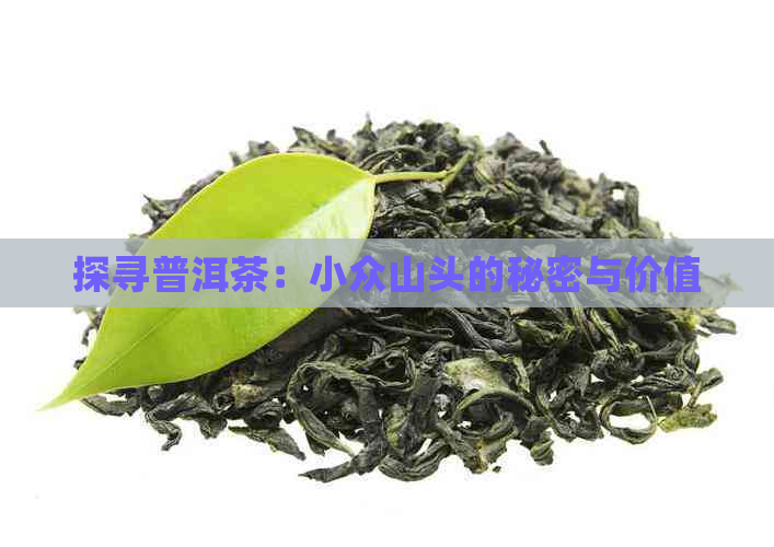 探寻普洱茶：小众山头的秘密与价值