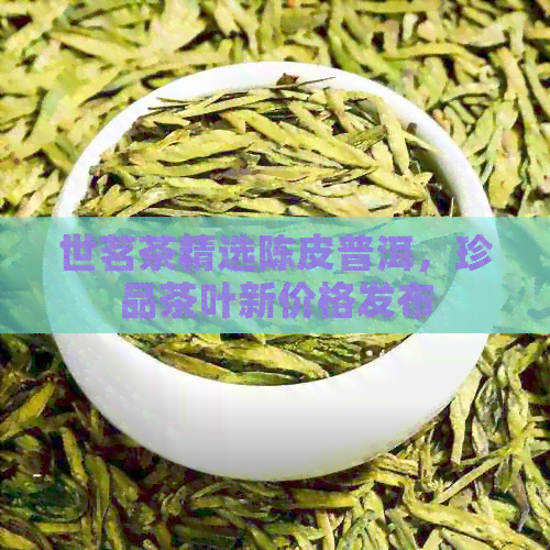 世茗茶精选陈皮普洱，珍品茶叶新价格发布