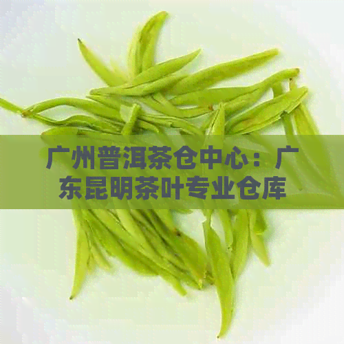 广州普洱茶仓中心：广东昆明茶叶专业仓库