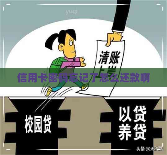 信用卡密码忘记了怎么还款啊