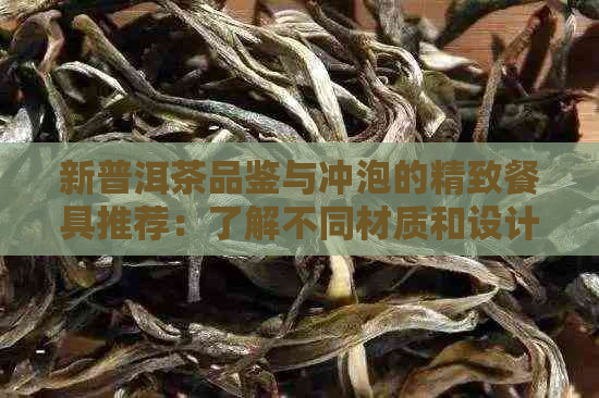 新普洱茶品鉴与冲泡的精致餐具推荐：了解不同材质和设计的茶具