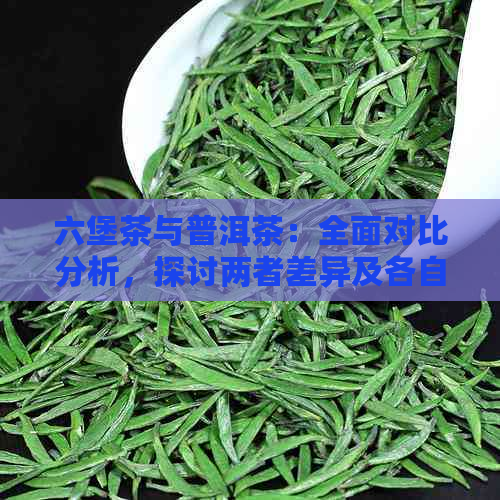 六堡茶与普洱茶：全面对比分析，探讨两者差异及各自优劣