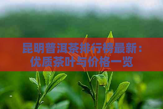 昆明普洱茶排行榜最新：优质茶叶与价格一览