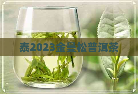 泰2023金曼松普洱茶