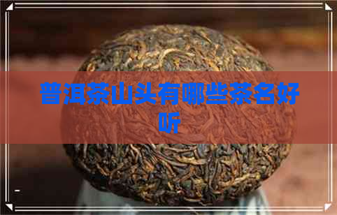 普洱茶山头有哪些茶名好听