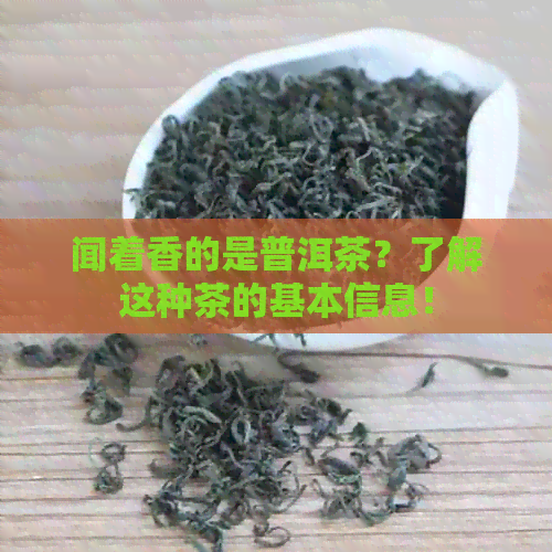 闻着香的是普洱茶？了解这种茶的基本信息！