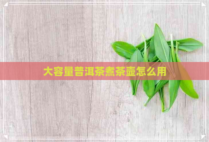 大容量普洱茶煮茶壶怎么用