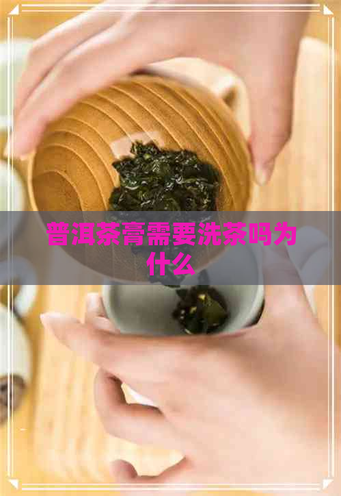 普洱茶膏需要洗茶吗为什么