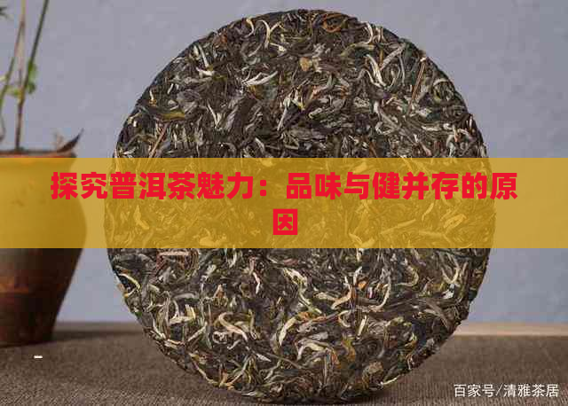 探究普洱茶魅力：品味与健并存的原因