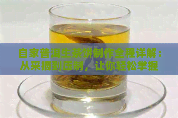 自家普洱生茶饼制作全程详解：从采摘到压制，让你轻松掌握压饼技巧