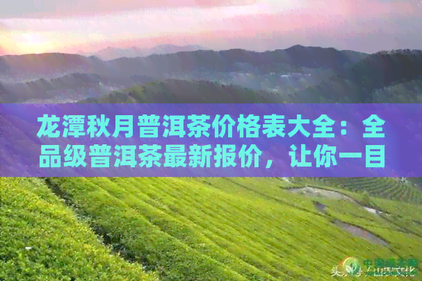 龙潭秋月普洱茶价格表大全：全品级普洱茶最新报价，让你一目了然！