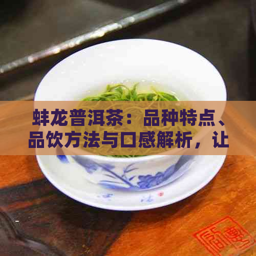 蚌龙普洱茶：品种特点、品饮方法与口感解析，让你全面了解这款茶叶的魅力