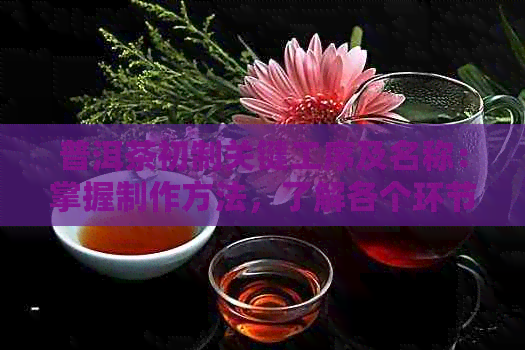 普洱茶初制关键工序及名称：掌握制作方法，了解各个环节。