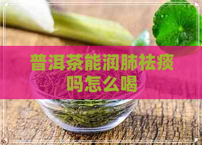 普洱茶能润肺祛痰吗怎么喝