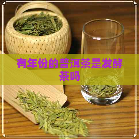 有年份的普洱茶是发酵茶吗