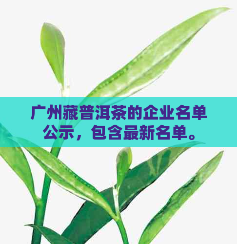 广州藏普洱茶的企业名单公示，包含最新名单。