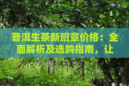 普洱生茶新班章价格：全面解析及选购指南，让你轻松了解茶叶品质与价格关系