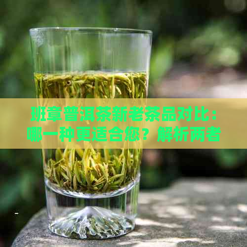 班章普洱茶新老茶品对比：哪一种更适合您？解析两者特点及适用场景