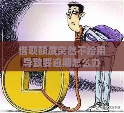 借呗额度突然不给用导致要逾期怎么办