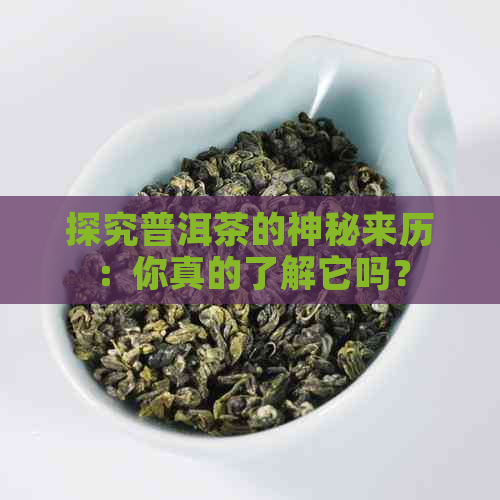 探究普洱茶的神秘来历：你真的了解它吗？