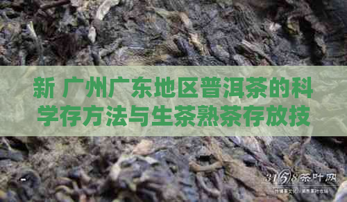 新 广州广东地区普洱茶的科学存方法与生茶熟茶存放技巧