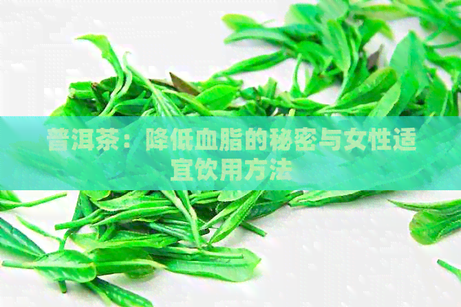 普洱茶：降低血脂的秘密与女性适宜饮用方法