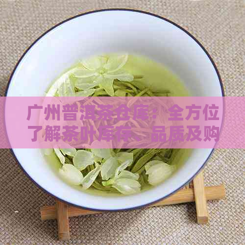 广州普洱茶仓库：全方位了解茶叶库存、品质及购买渠道