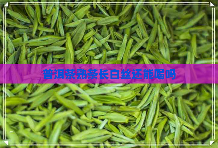 普洱茶熟茶长白丝还能喝吗