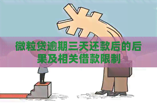 微粒贷逾期三天还款后的后果及相关借款限制