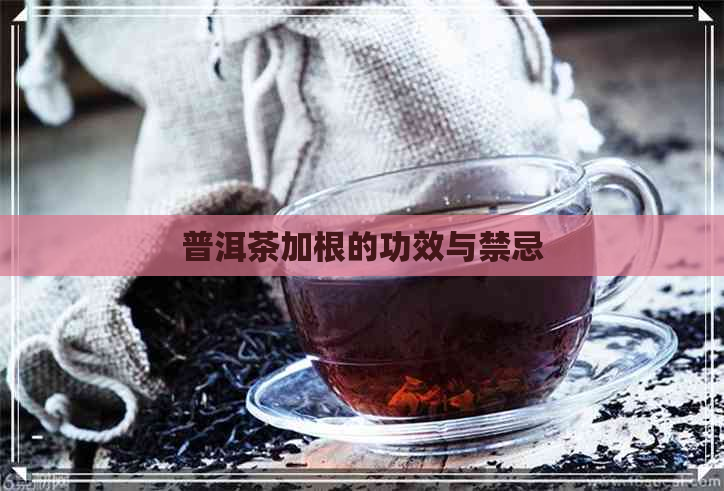 普洱茶加根的功效与禁忌