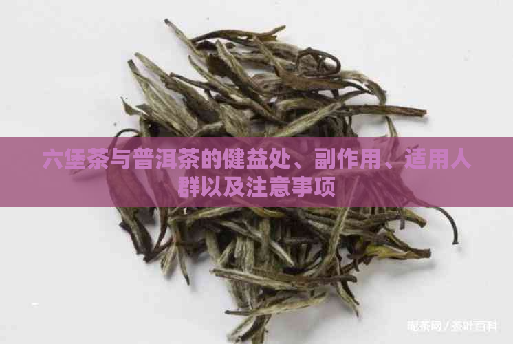 六堡茶与普洱茶的健益处、副作用、适用人群以及注意事项