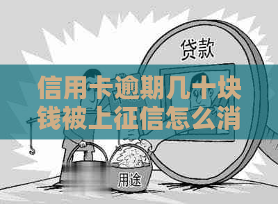 信用卡逾期几十块钱被上怎么消除记录：解决方法与建议