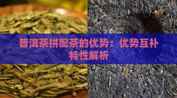 普洱茶拼配茶的优势：优势互补特性解析