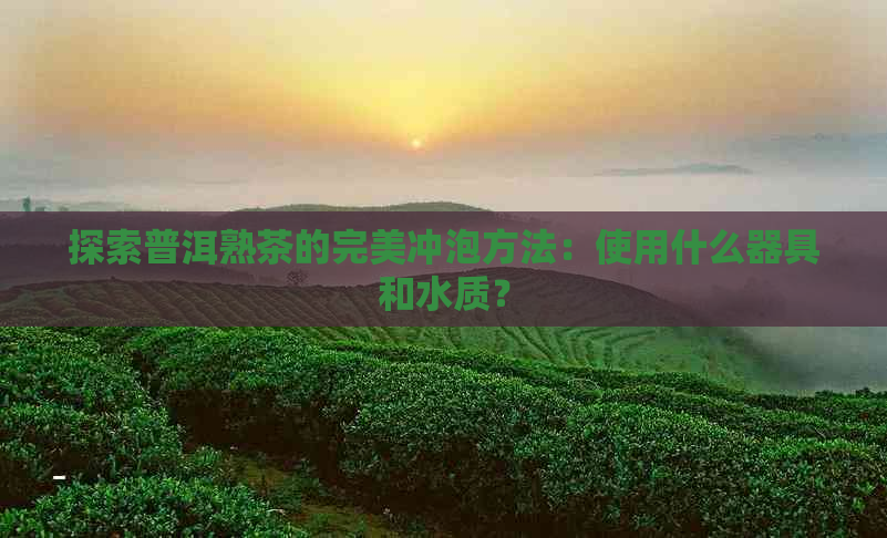 探索普洱熟茶的完美冲泡方法：使用什么器具和水质？