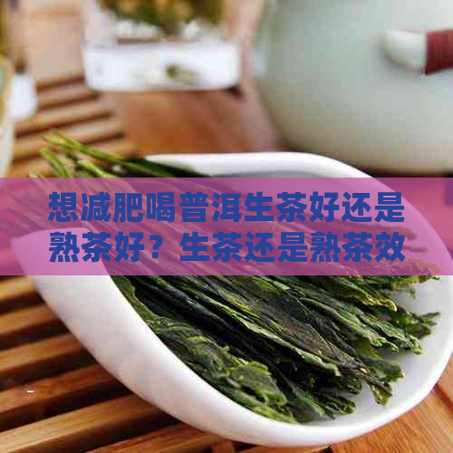 想减肥喝普洱生茶好还是熟茶好？生茶还是熟茶效果？