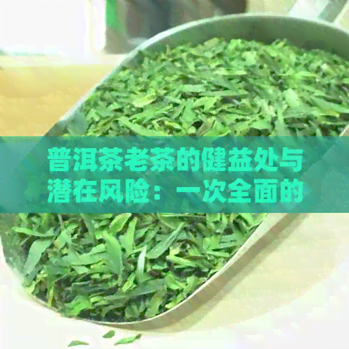 普洱茶老茶的健益处与潜在风险：一次全面的探讨