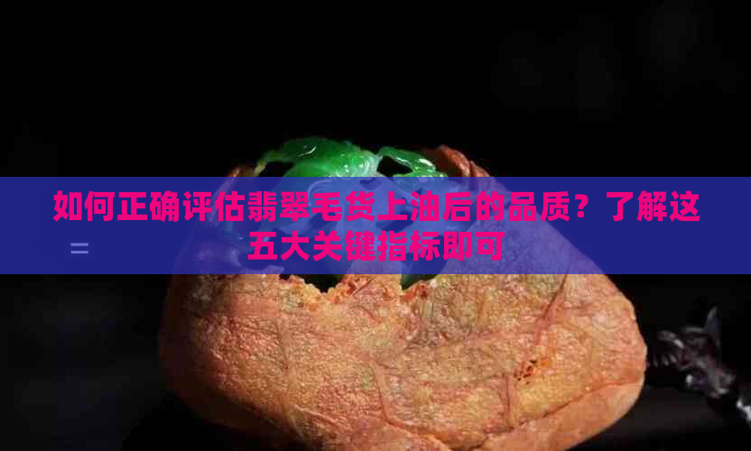 如何正确评估翡翠毛货上油后的品质？了解这五大关键指标即可