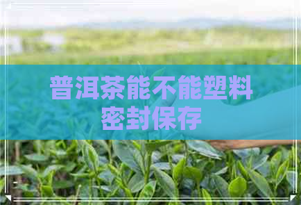 普洱茶能不能塑料密封保存