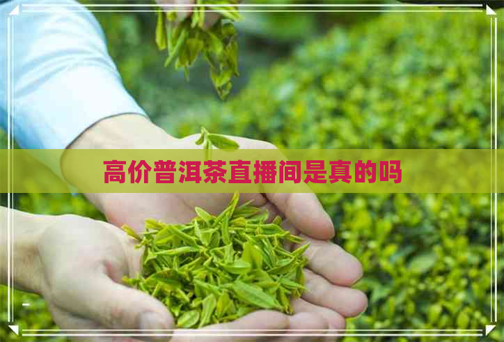 高价普洱茶直播间是真的吗