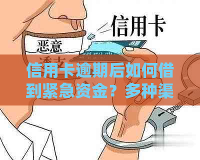 信用卡逾期后如何借到紧急资金？多种渠道供您选择