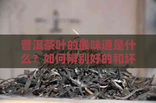 普洱茶叶的最味道是什么？如何辨别好的和坏的味道？