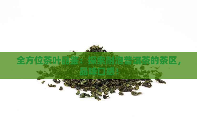 全方位茶叶品鉴：探索耐泡普洱茶的茶区，品味口感！