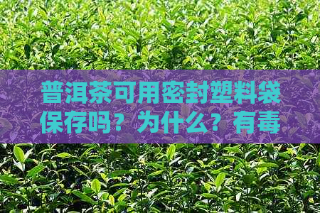 普洱茶可用密封塑料袋保存吗？为什么？有吗？