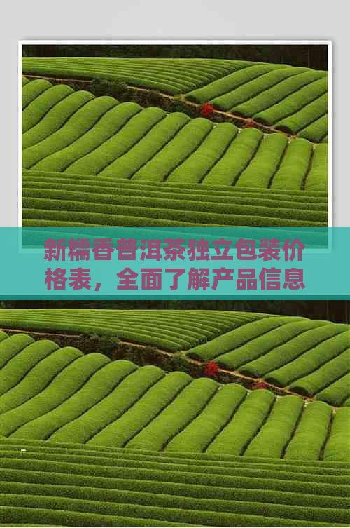 新糯香普洱茶独立包装价格表，全面了解产品信息及购买渠道