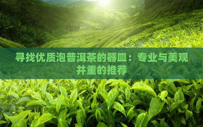 寻找优质泡普洱茶的器皿：专业与美观并重的推荐