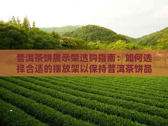 普洱茶饼展示架选购指南：如何选择合适的摆放架以保持普洱茶饼品质与口感