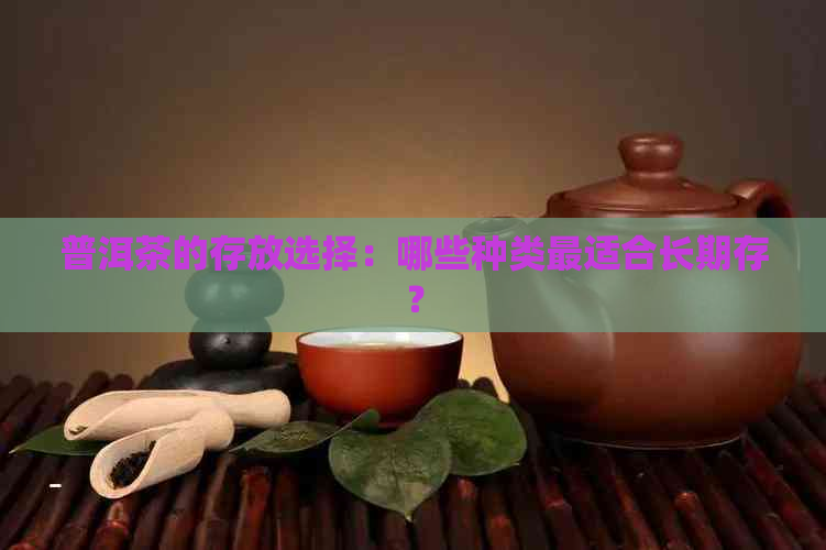 普洱茶的存放选择：哪些种类最适合长期存？